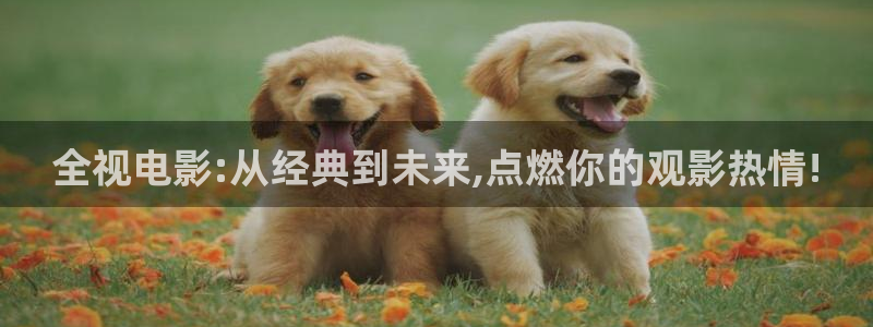 齐齐哈尔大地影城