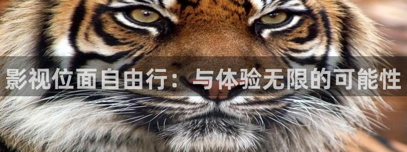 大地资源在线免费观看