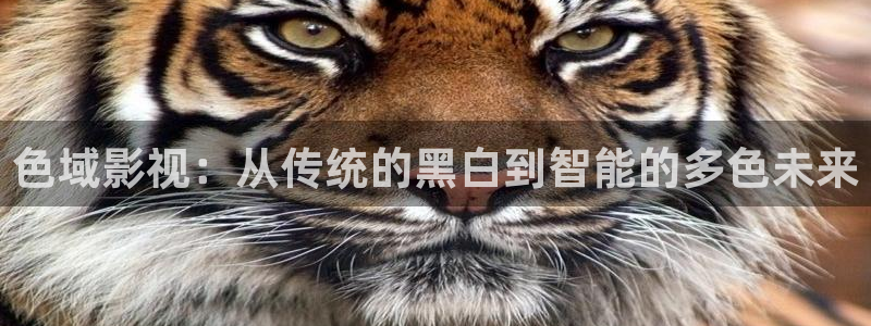 大地资源_高清在线播放