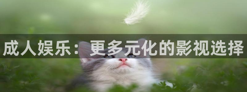 希望的大地全集在线观看