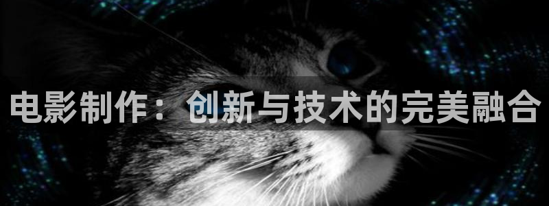 大地视频在线观看.
