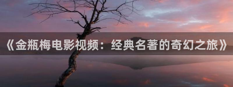 西安大地影院
