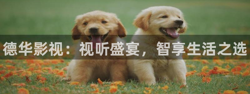 大地影院电话