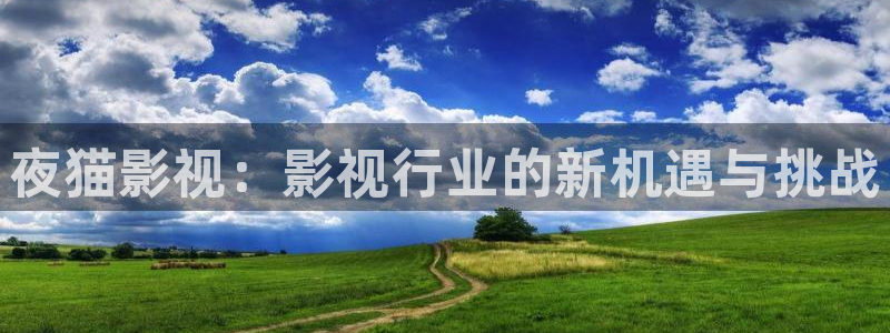 大地影视mv在线播放