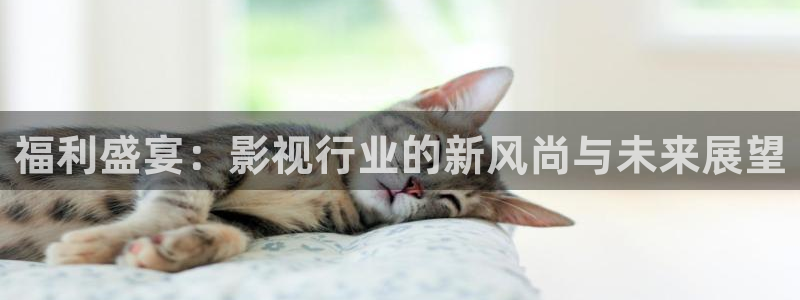 电影大地之上