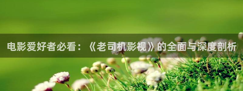大地资源二中文在线播放免费