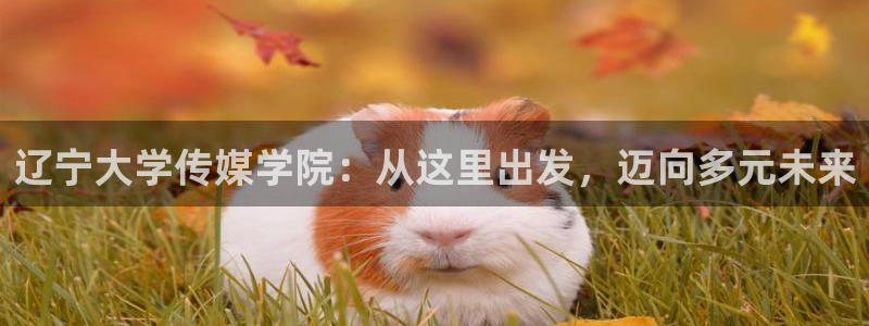 大地影院在线官网观看高清免费